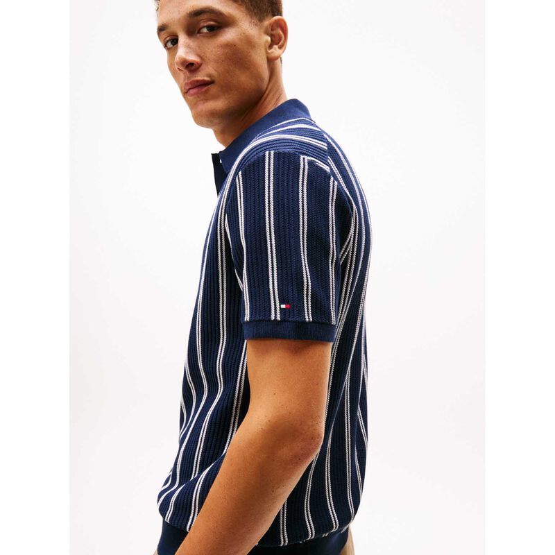 Tommy Hilfiger Knitted Vertical Stripe S/S Polo image number 2